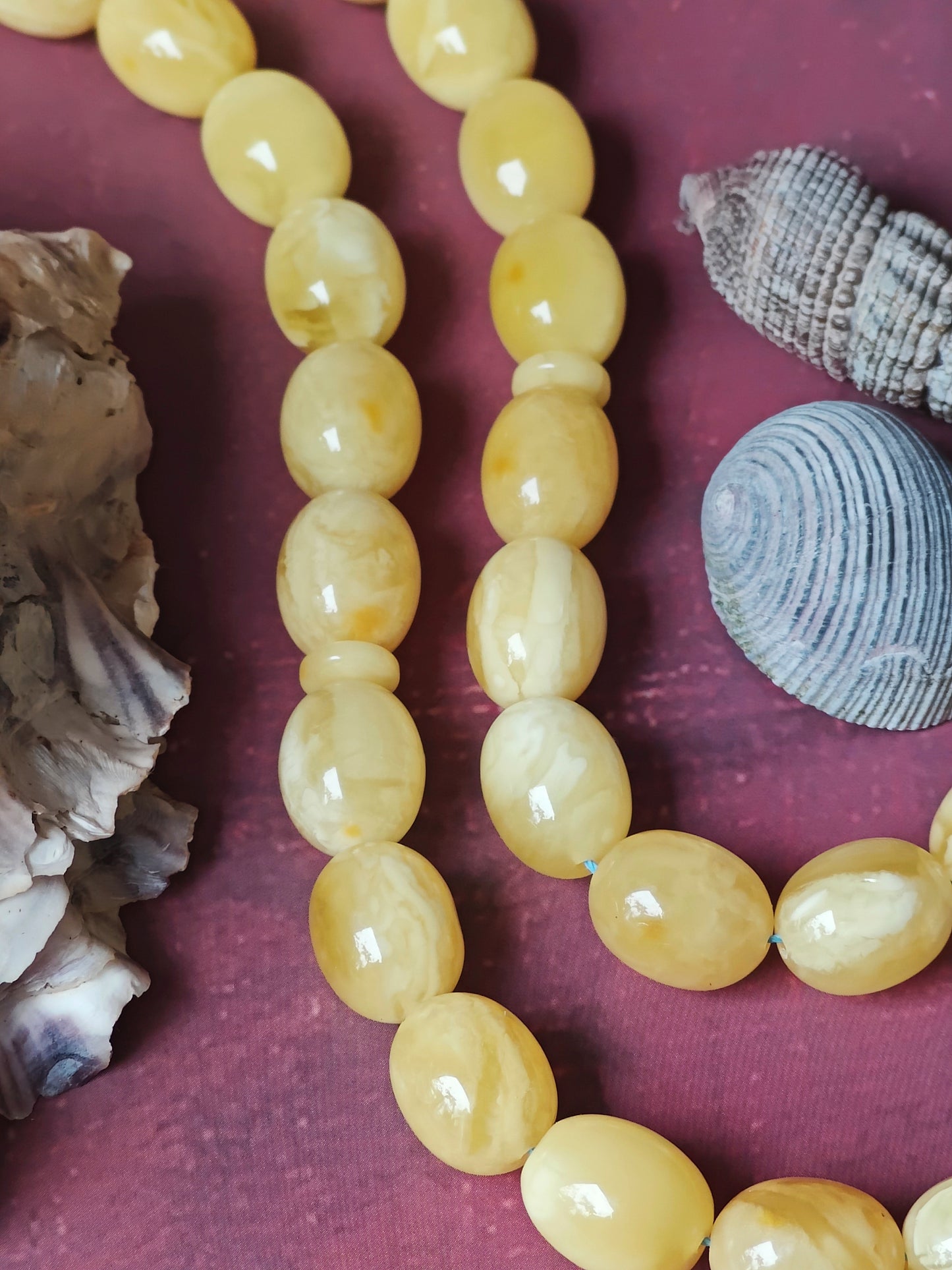 Super Baltic Amber Rosary | 55 Pigeon Egg–Shaped Beads, Butterscotch & Royal White