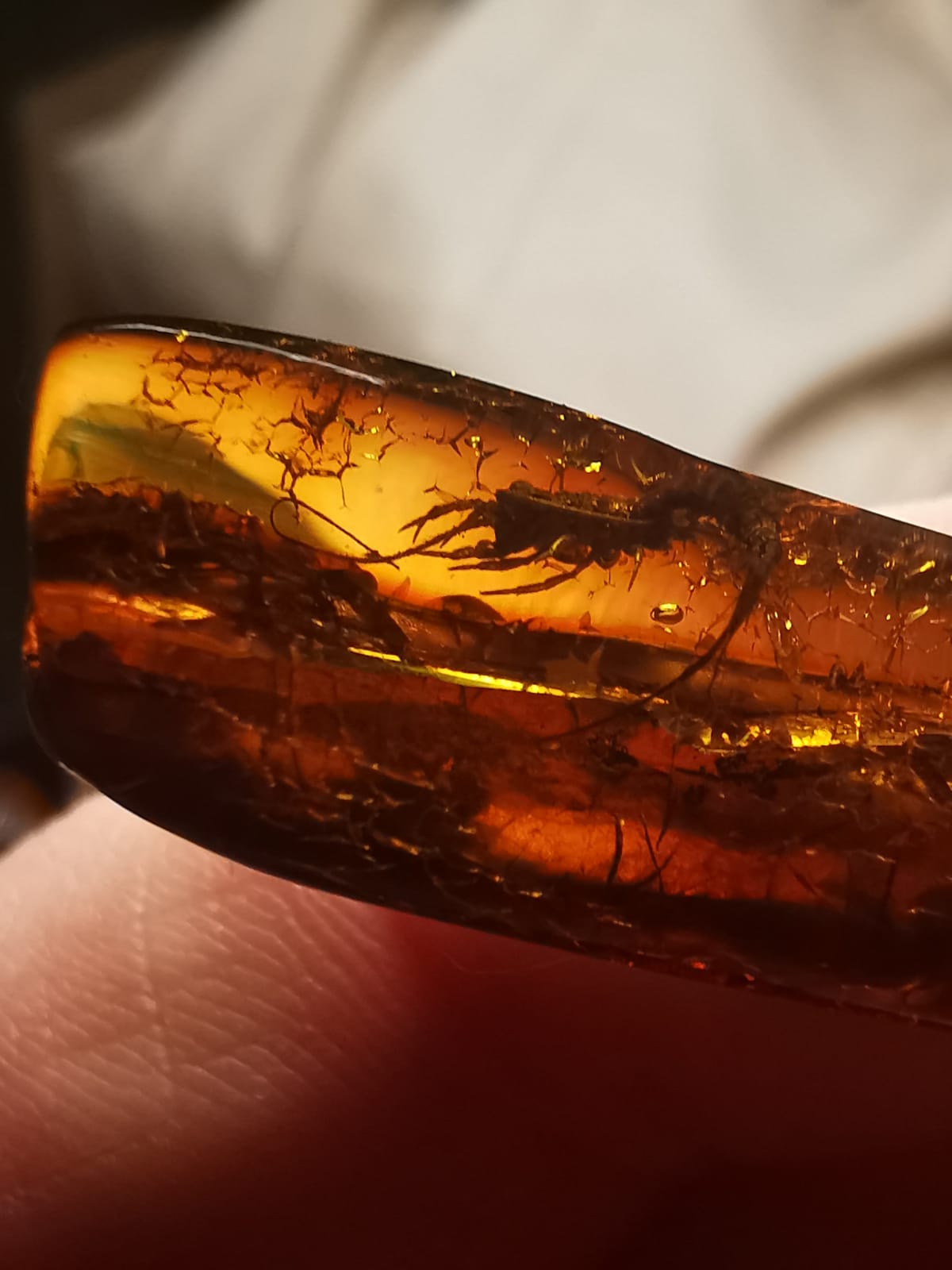 Unique and Rare Amber Piece with Multiple Insects (Ants, Flies, Bristletail) Inclusions with Certificate