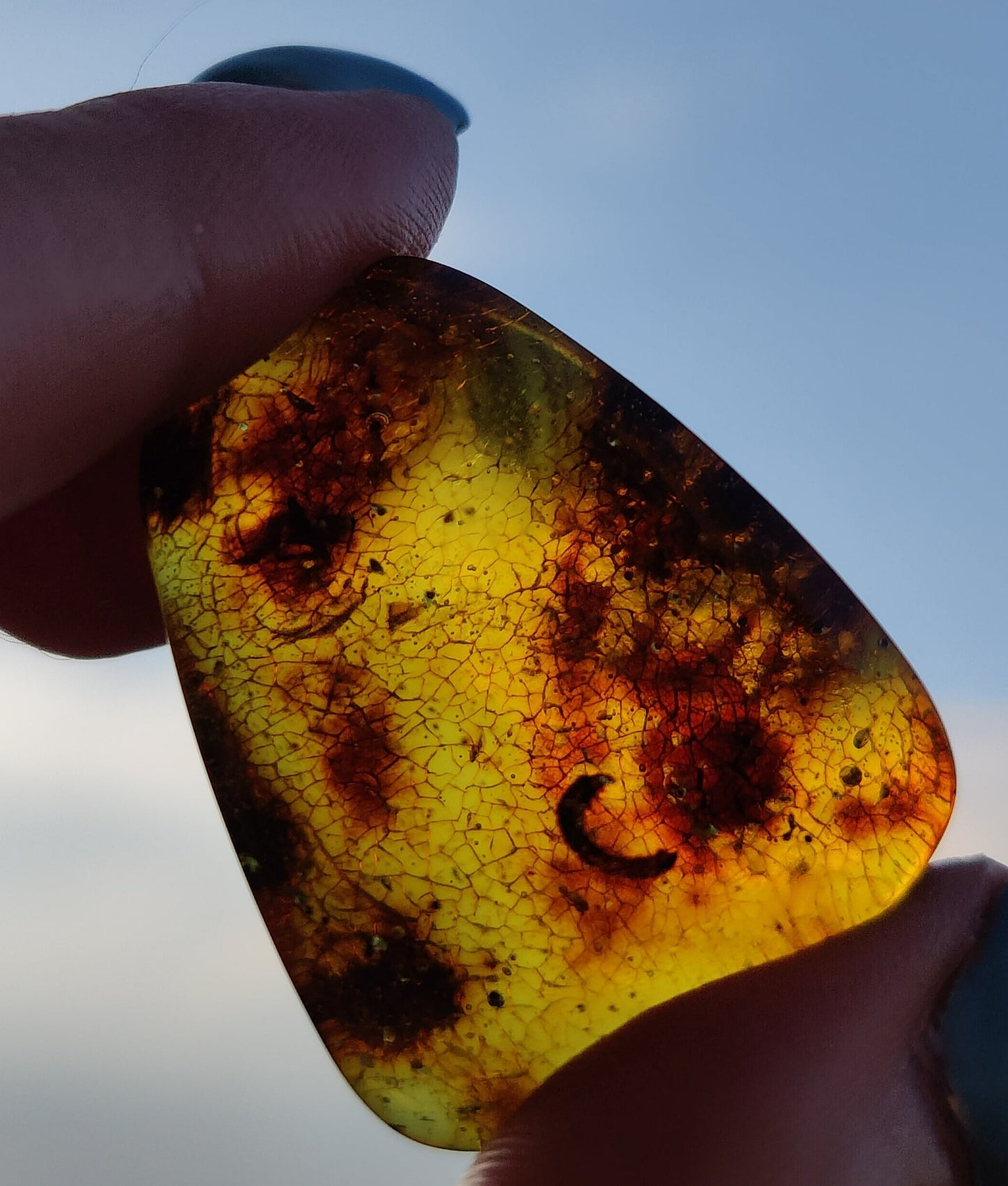 Amber Piece with Natural Insect Inclusion -Worm