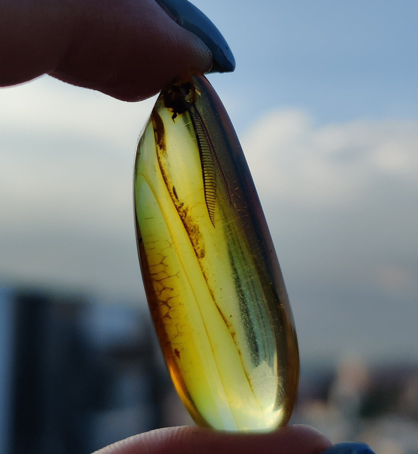 Amber Piece with Natural Insect Inclusion - Well Visible Insect's Wing