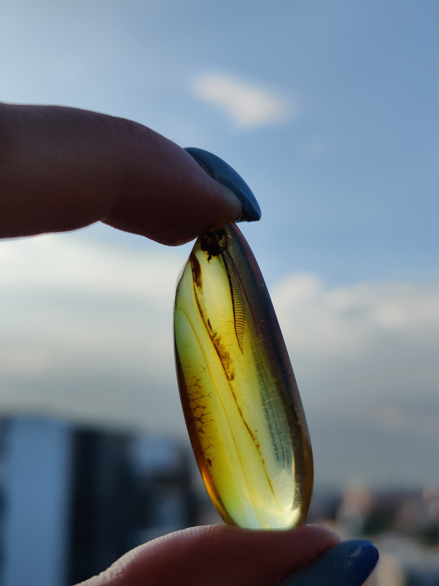 Amber Piece with Natural Insect Inclusion - Well Visible Insect's Wing