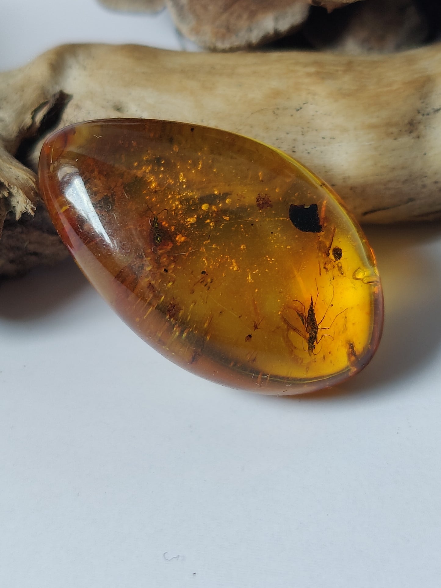 Amber Piece with Two Insects Inclusions and Bubbles of Air