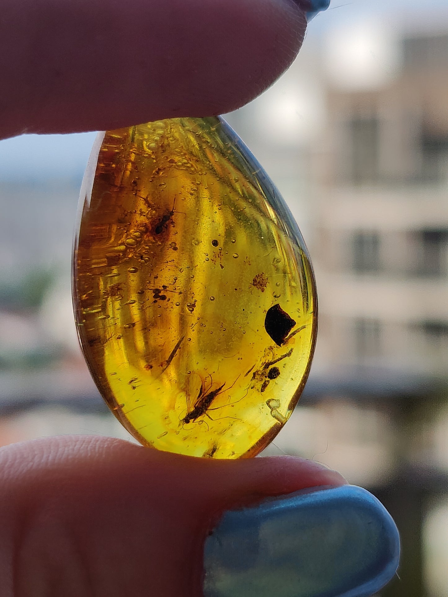 Amber Piece with Two Insects Inclusions and Bubbles of Air