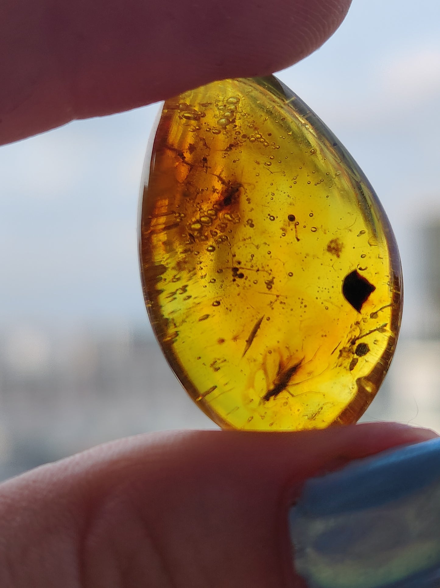 Amber Piece with Two Insects Inclusions and Bubbles of Air