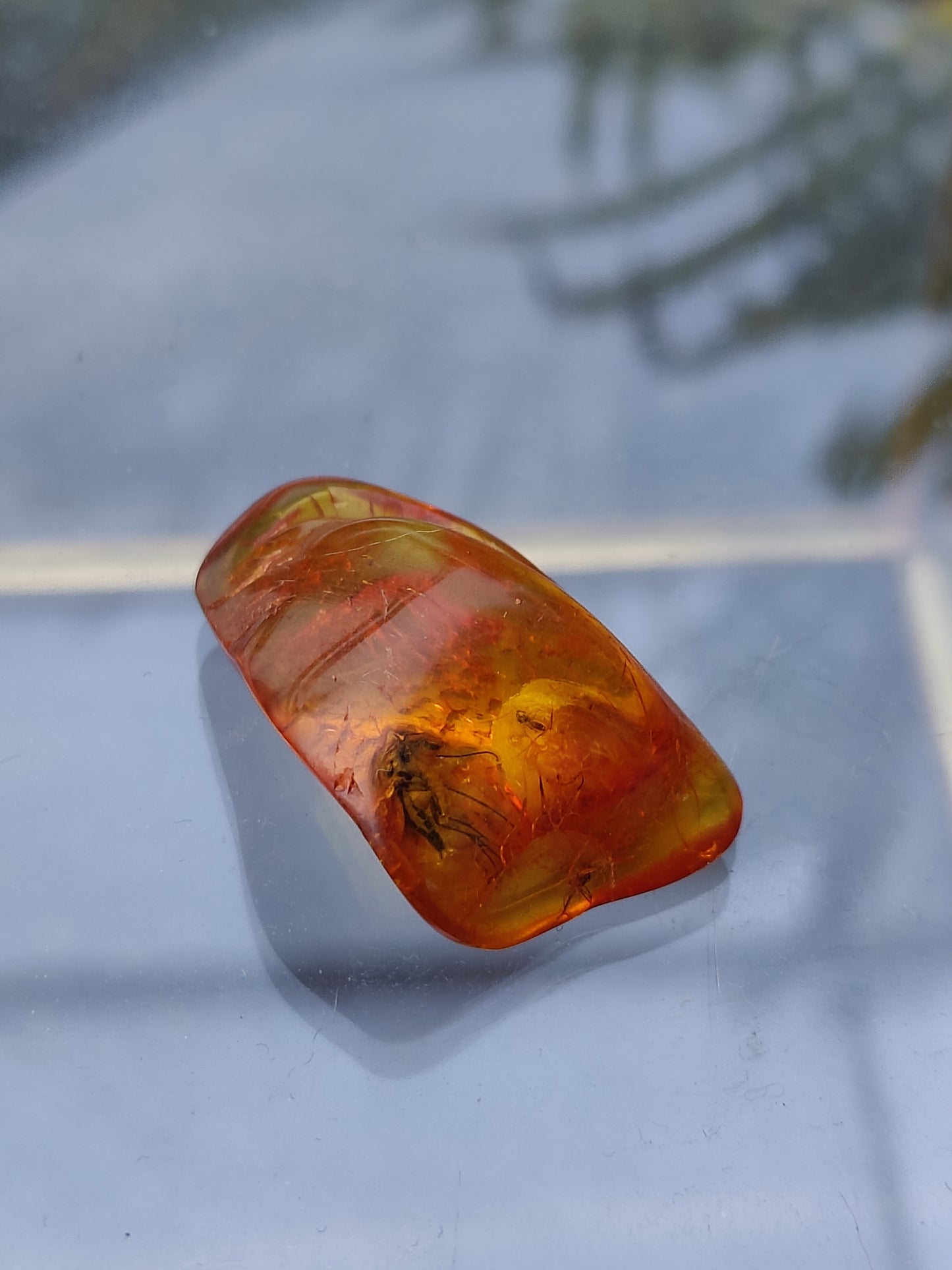 Unique Amber Piece with  Insects Inclusions - Mosquito and 2 Flies