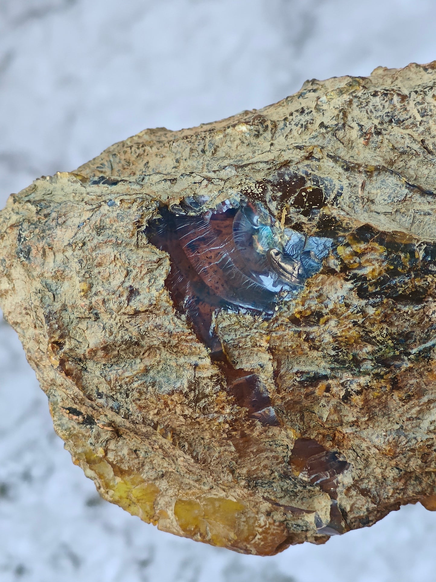Raw Natural Blue Dominican Amber Piece 221g