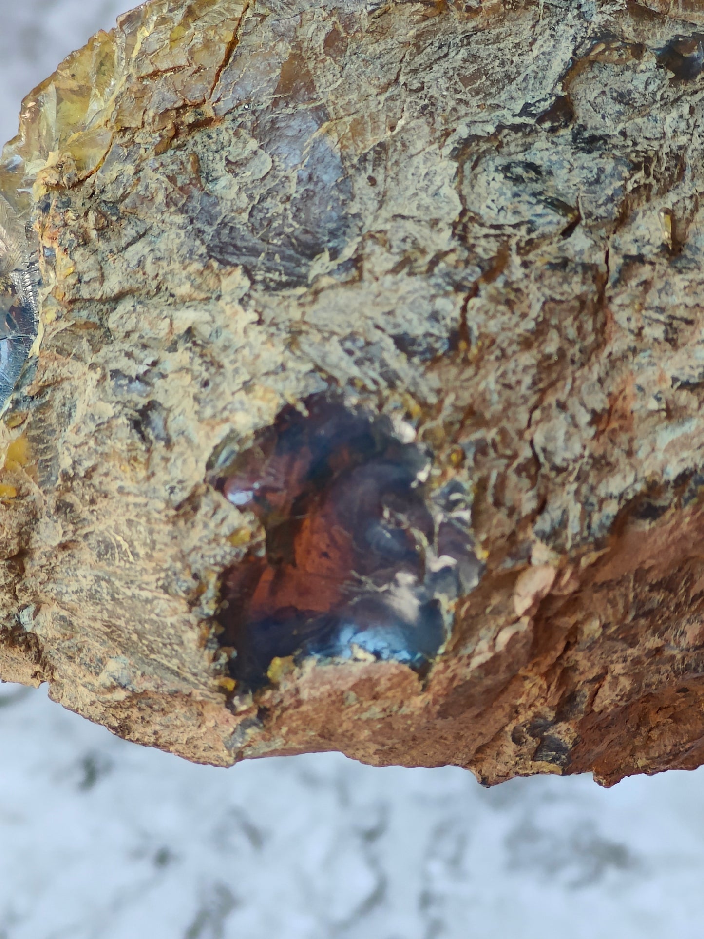 Raw Natural Blue Dominican Amber Piece 221g