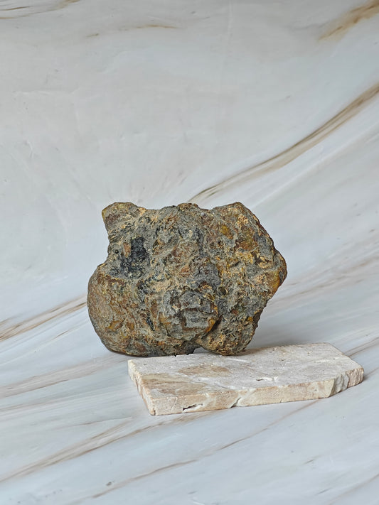 Raw Natural Blue Dominican Amber Piece 106.5 g