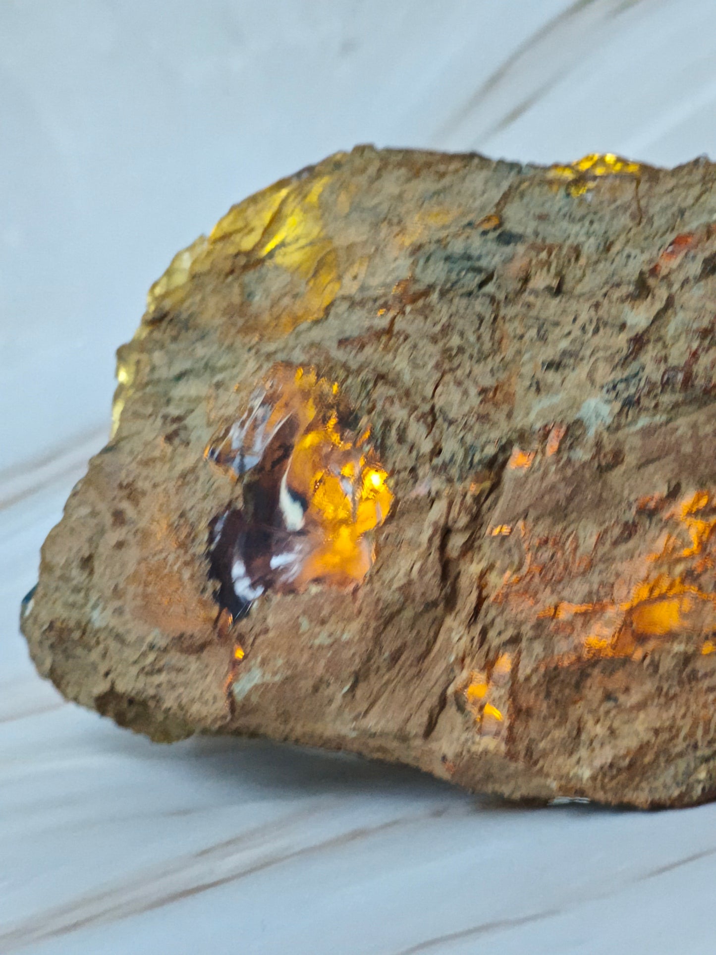 Raw Natural Blue Dominican Amber Piece 221g