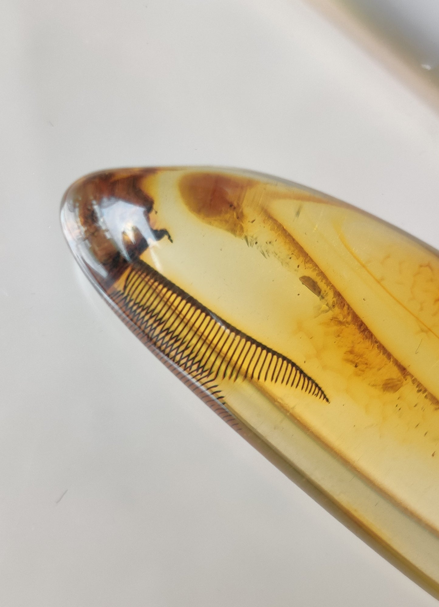 Amber Piece with Natural Insect Inclusion - Well Visible Insect's Wing