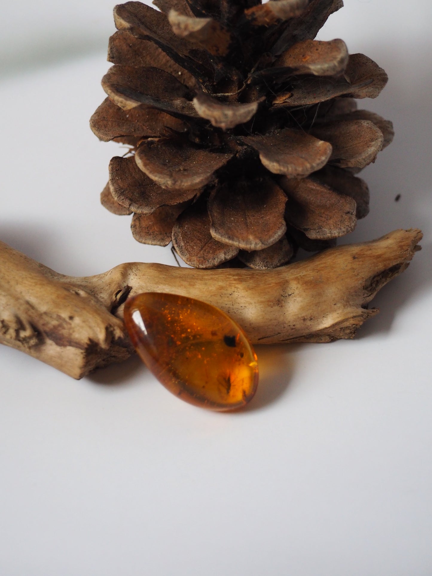 Amber Piece with Two Insects Inclusions and Bubbles of Air