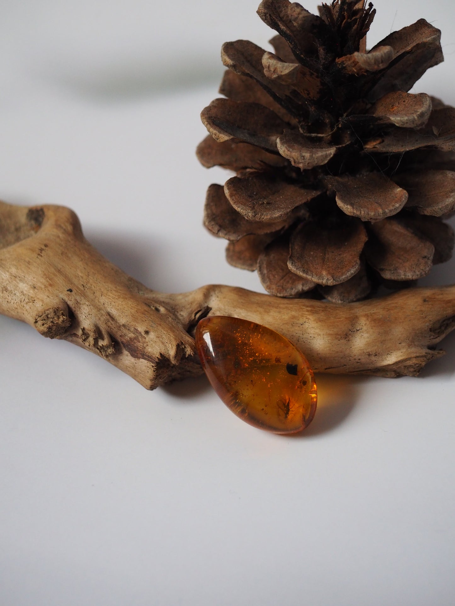 Amber Piece with Two Insects Inclusions and Bubbles of Air