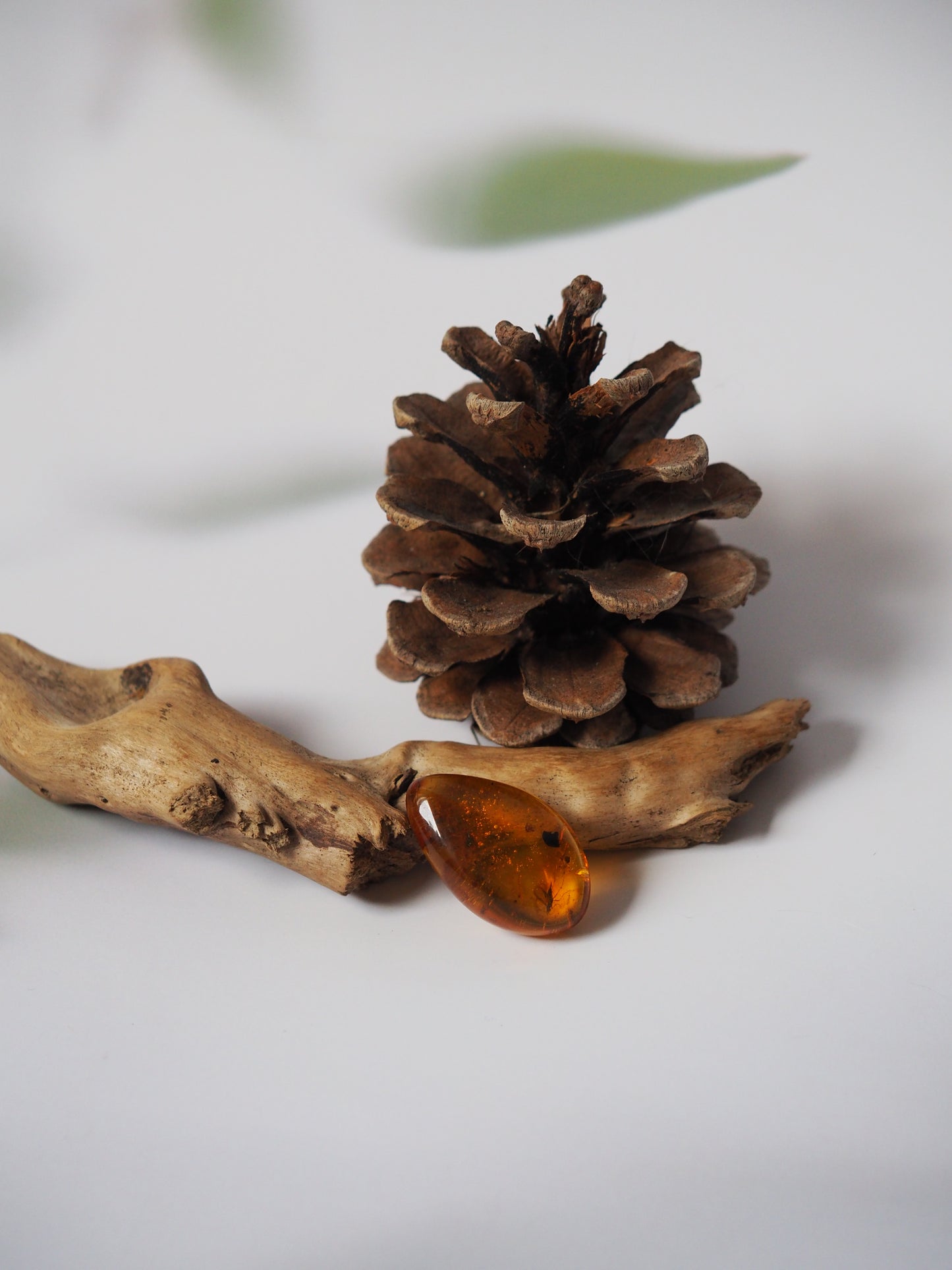 Amber Piece with Two Insects Inclusions and Bubbles of Air