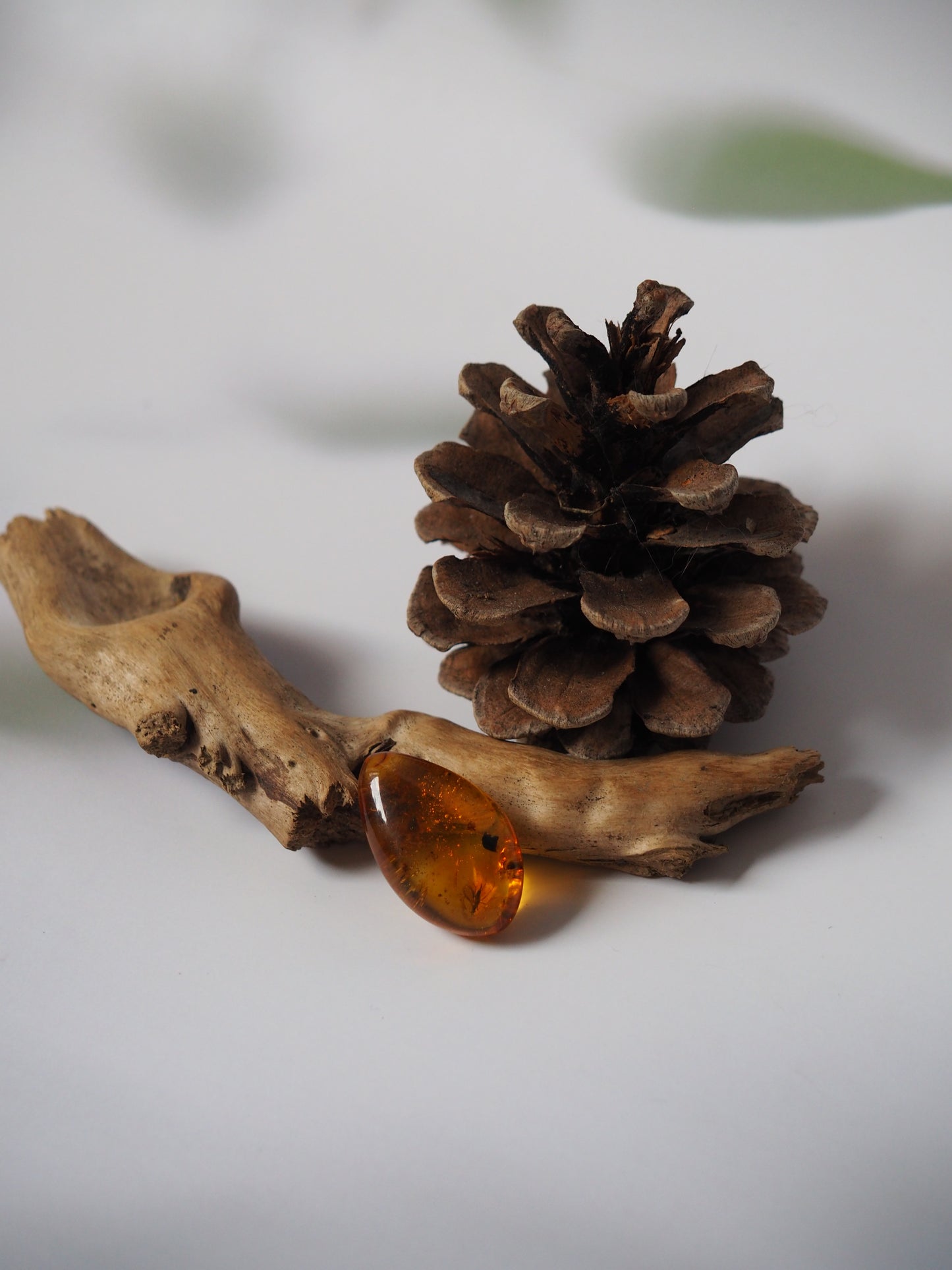 Amber Piece with Two Insects Inclusions and Bubbles of Air