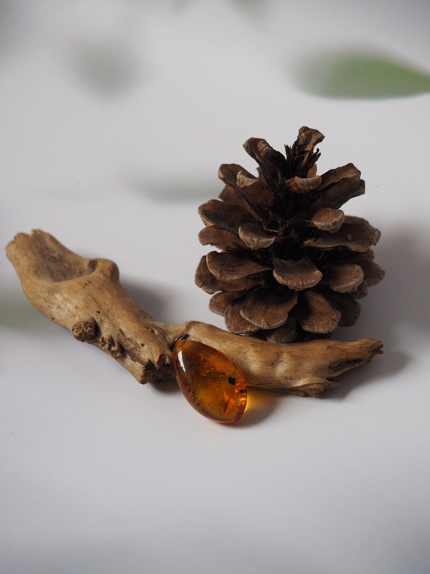 Amber Piece with Two Insects Inclusions and Bubbles of Air