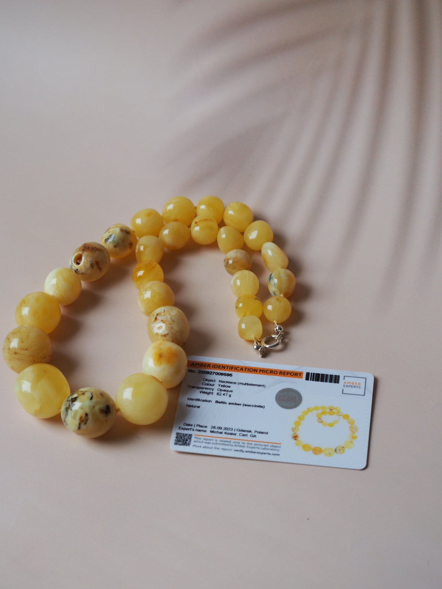 Big Unique Amber Necklace with Certificate