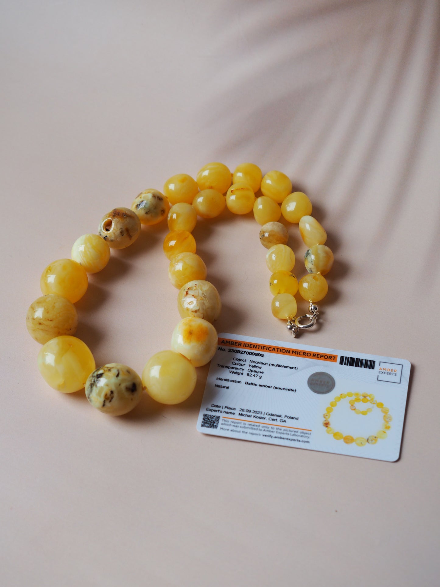 Big Unique Amber Necklace with Certificate
