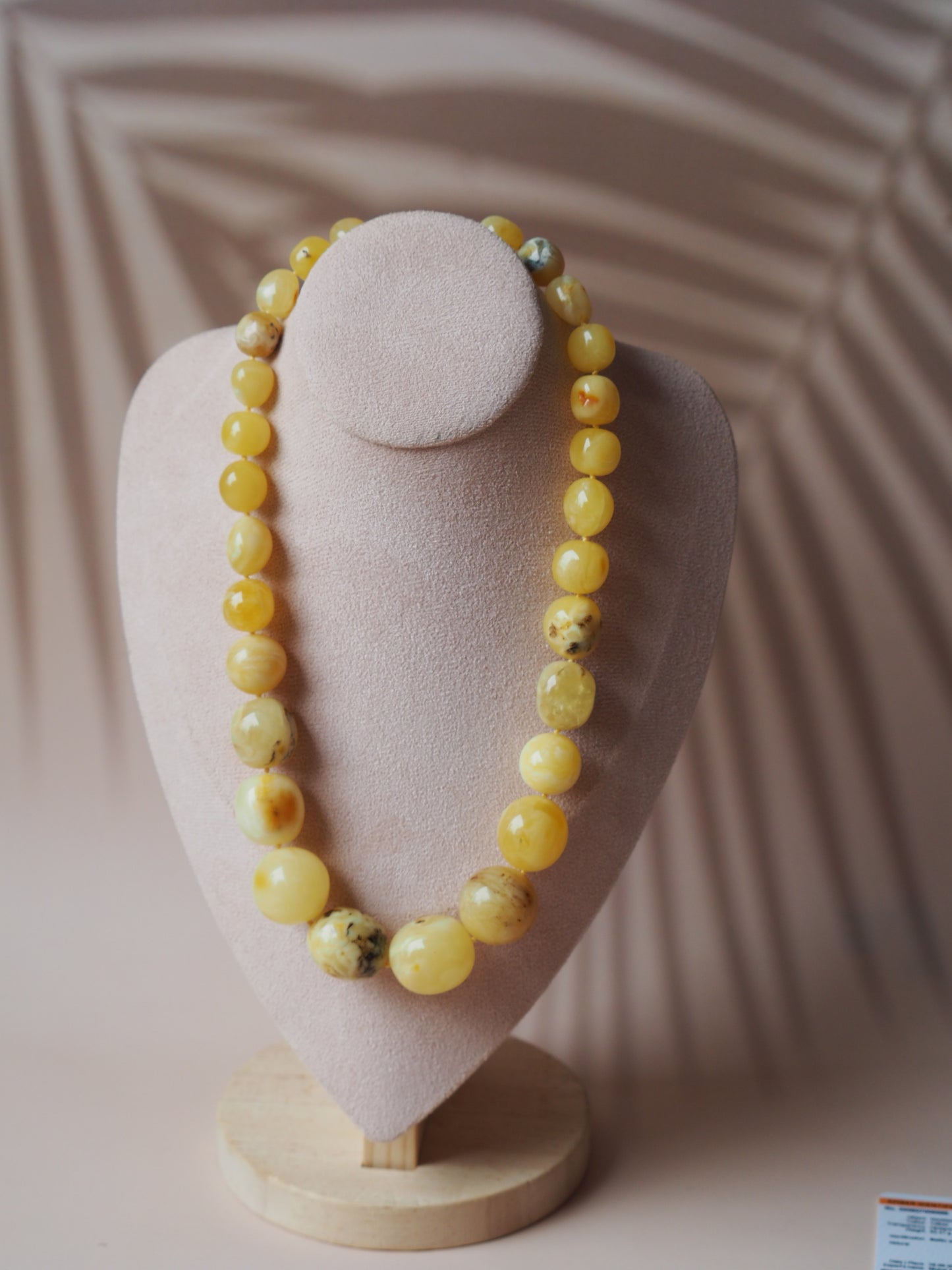 Big Unique Amber Necklace with Certificate