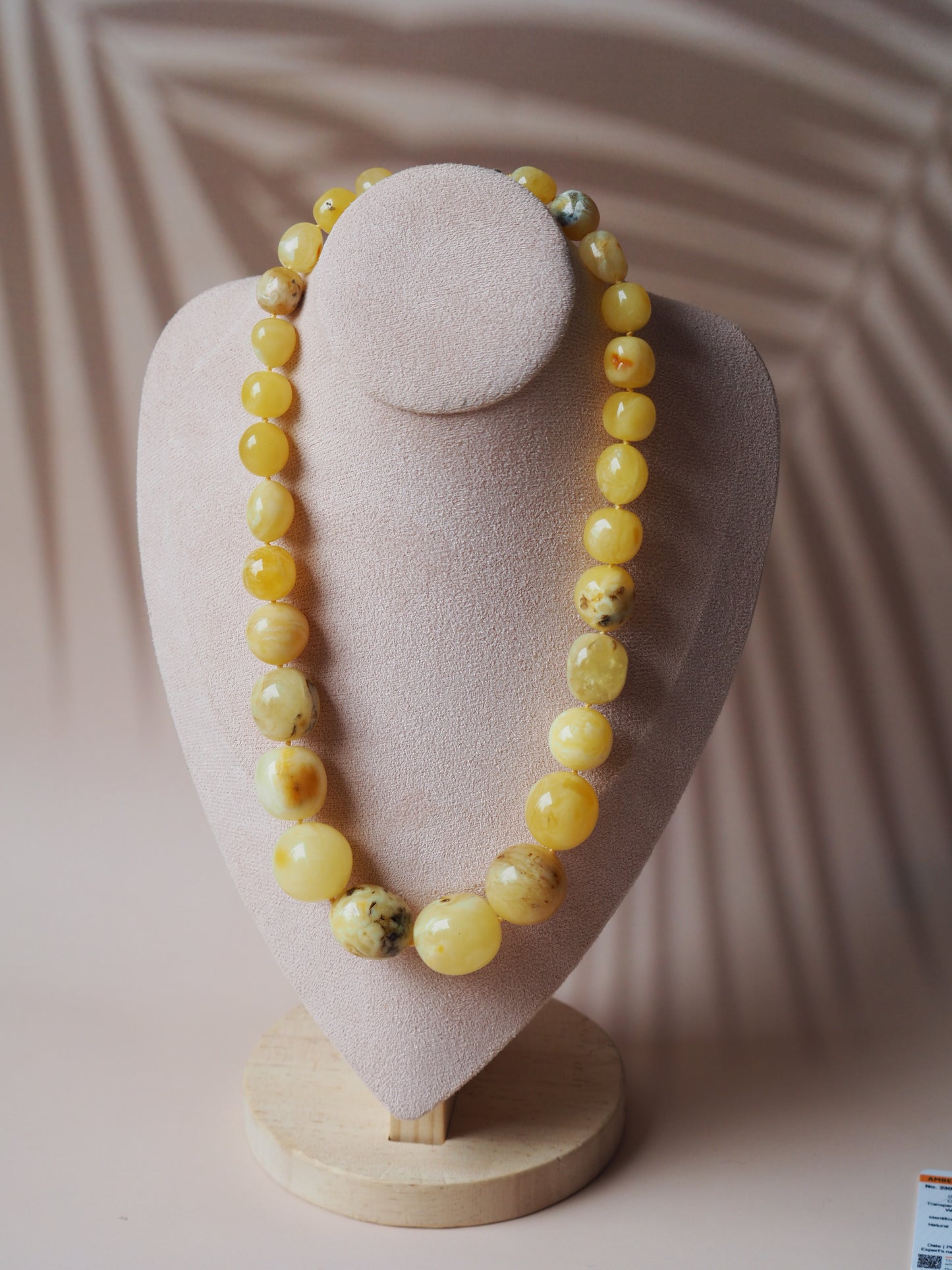 Big Unique Amber Necklace with Certificate