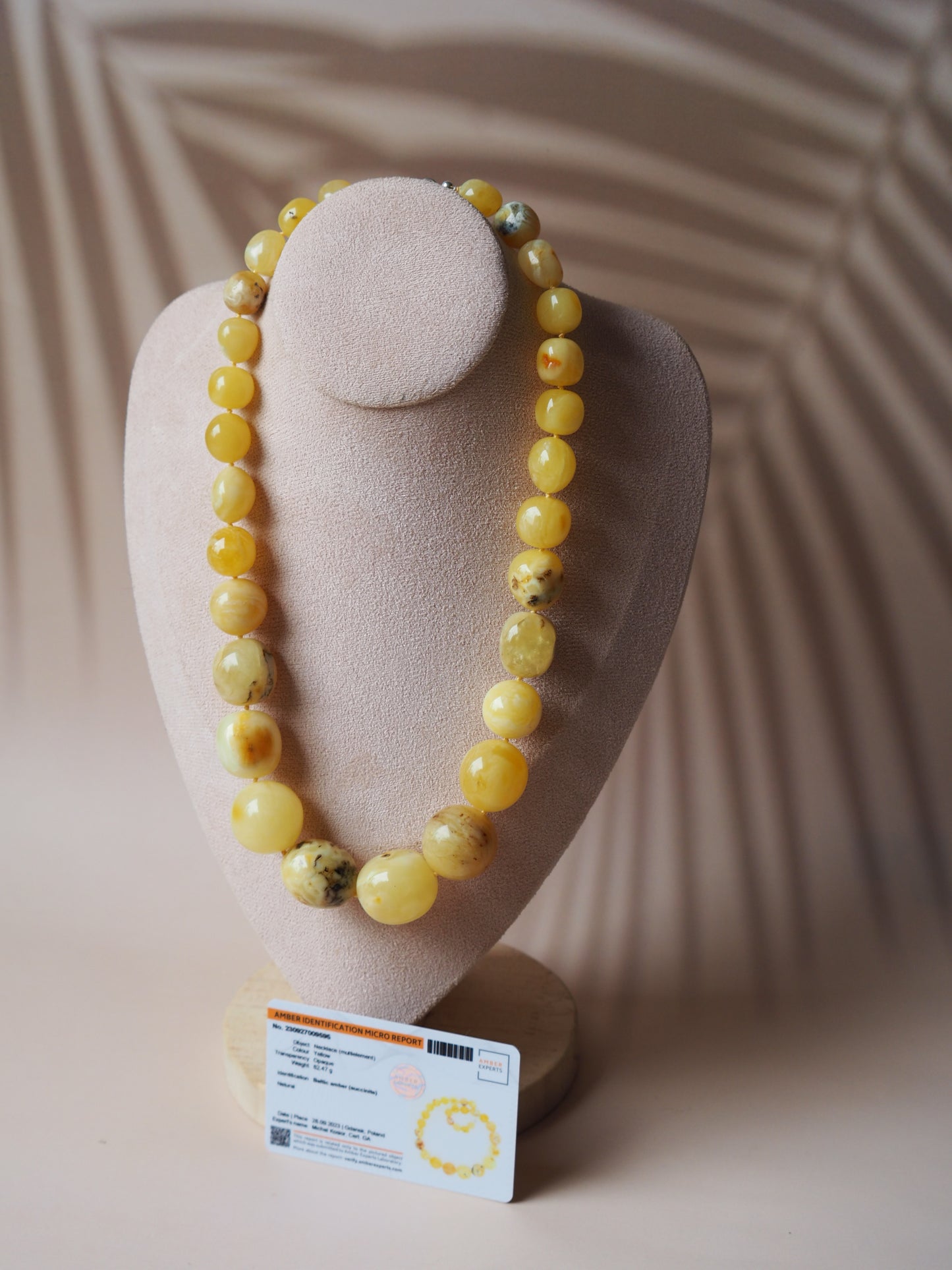 Big Unique Amber Necklace with Certificate