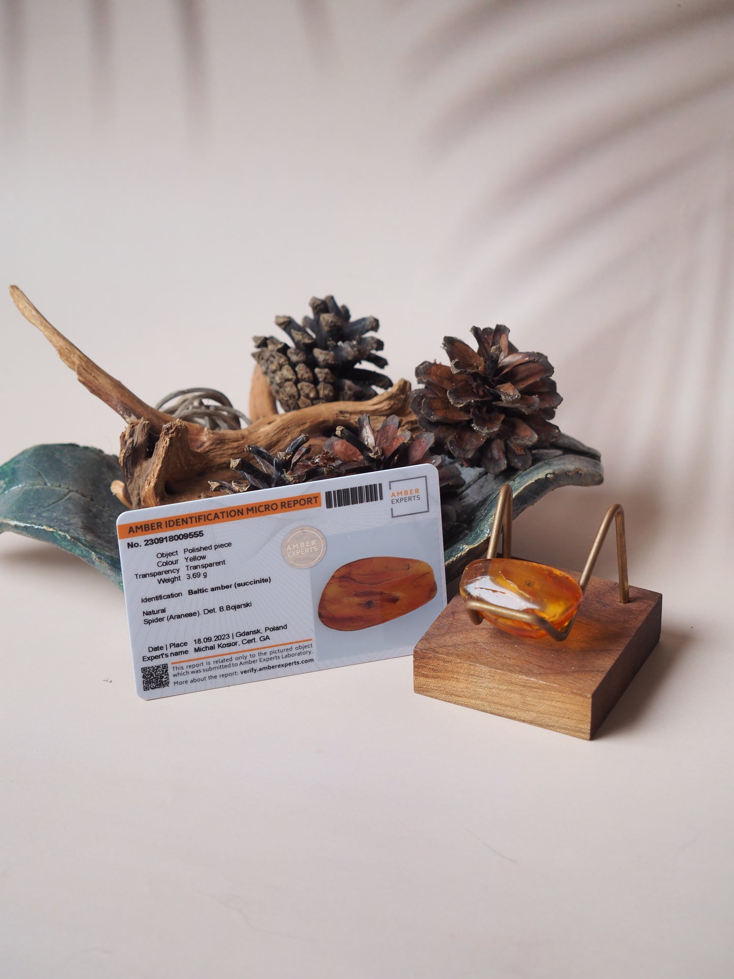 Rare Amber Piece with Natural Spider Inclusion with Certificate