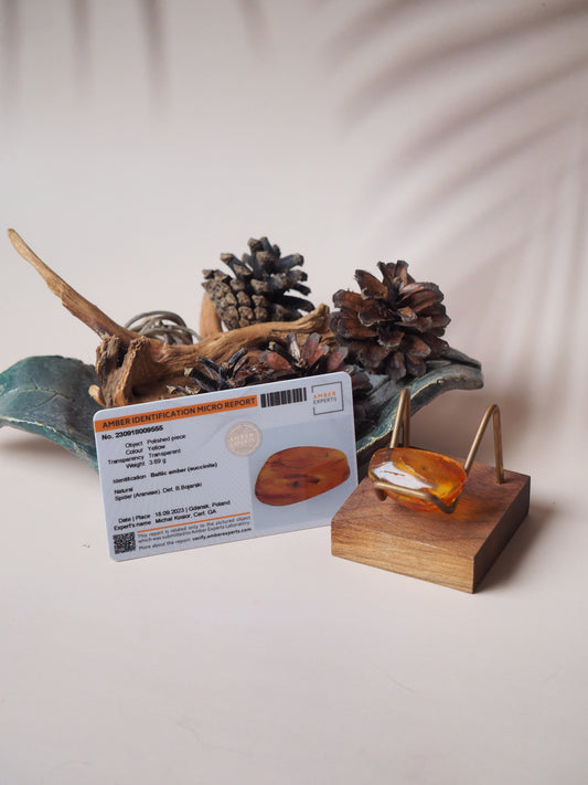 Rare Amber Piece with Natural Spider Inclusion with Certificate