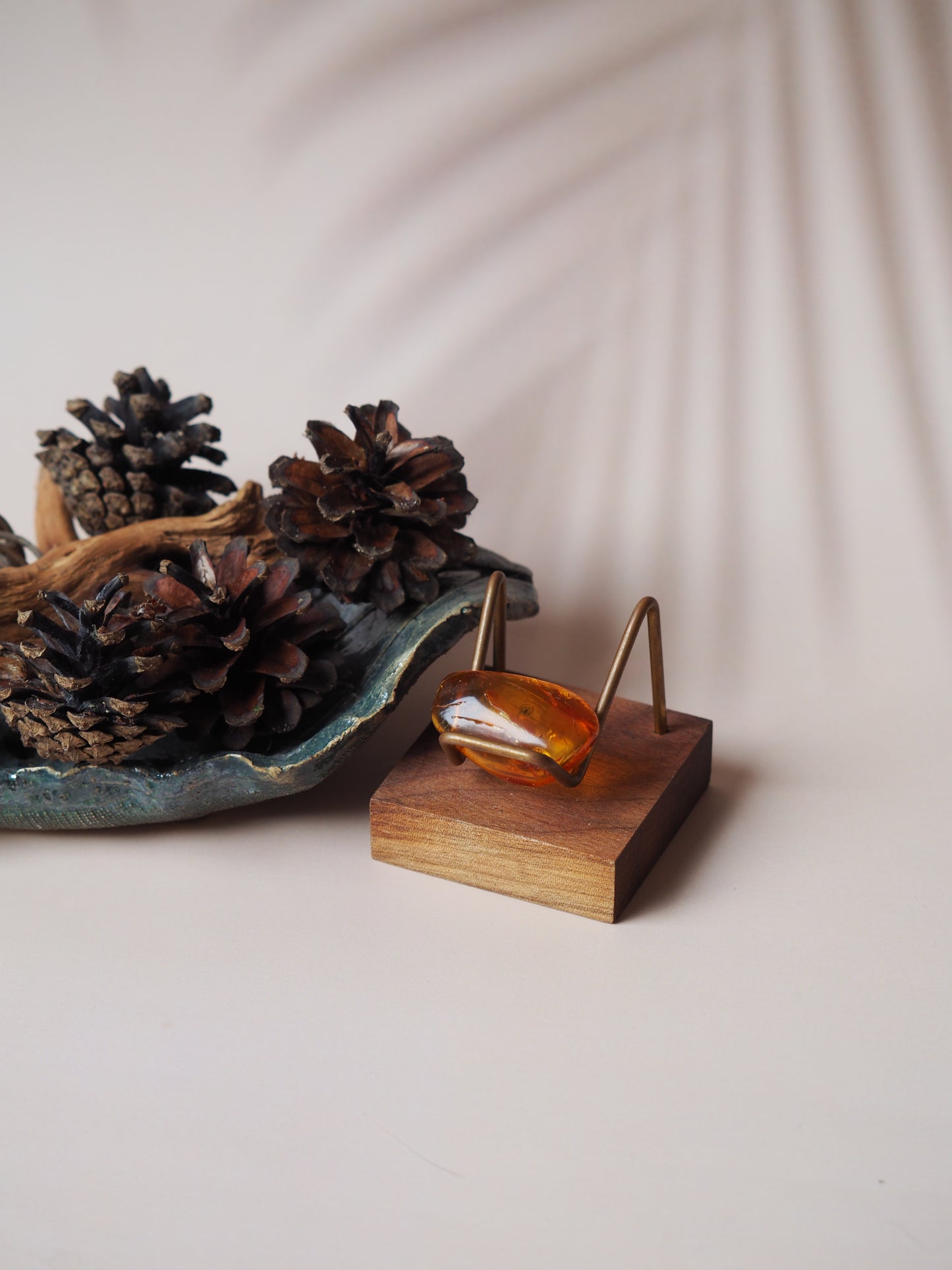 Rare Amber Piece with Natural Spider Inclusion with Certificate