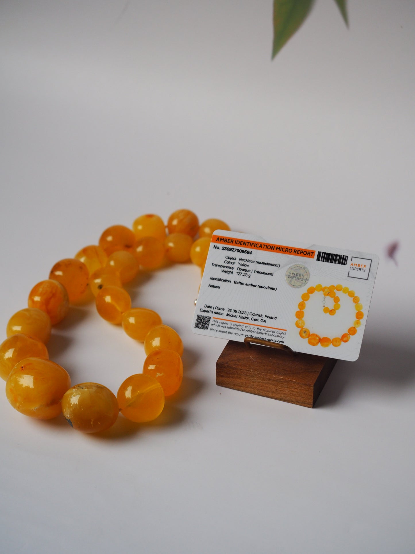 Huge Unique Honey Amber Necklace with Certificate