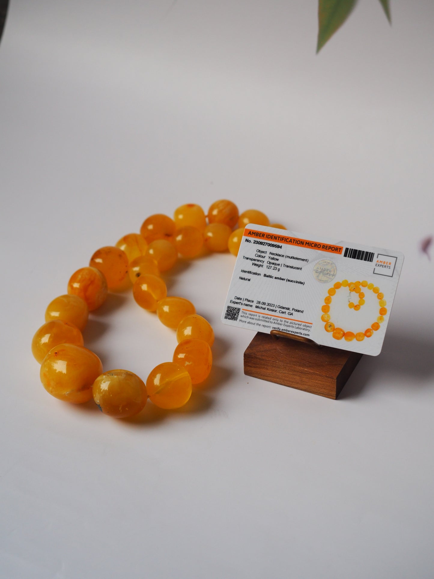 Huge Unique Honey Amber Necklace with Certificate
