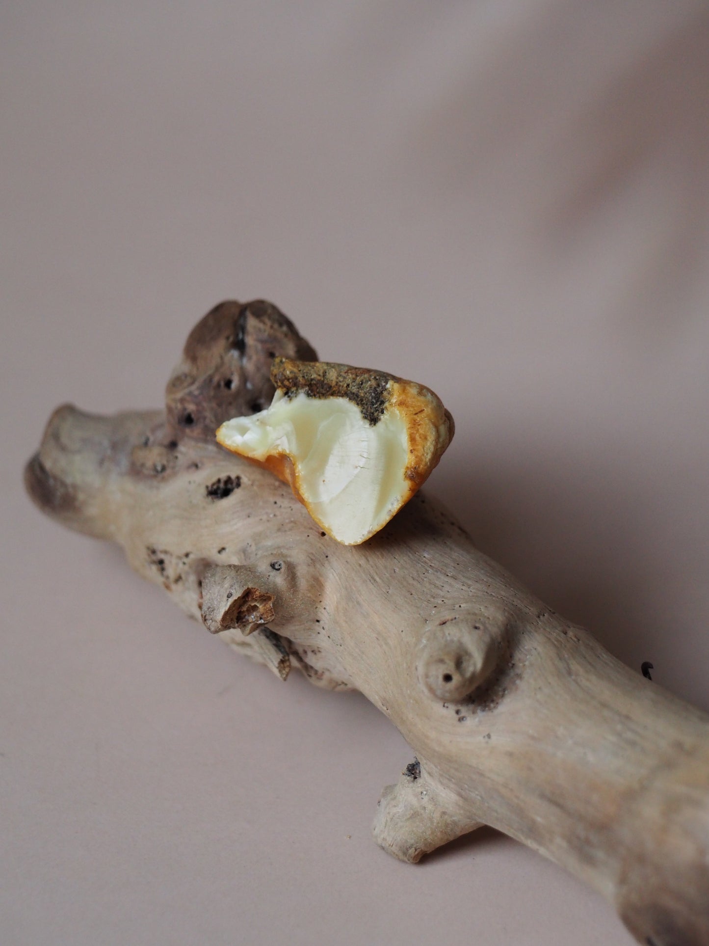 Raw White Amber Piece