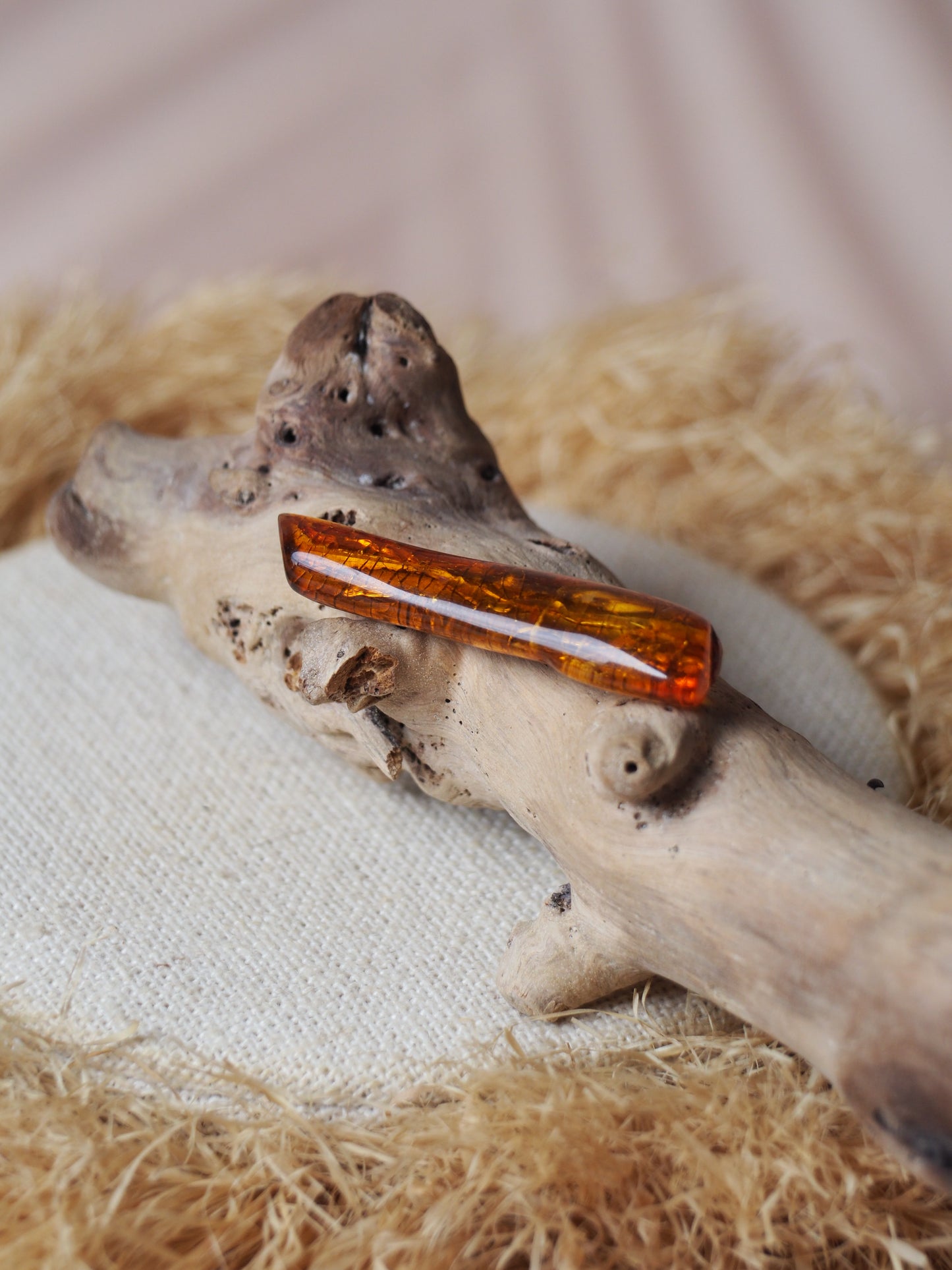 Unique and Rare Amber Piece with Multiple Insects (Ants, Flies, Bristletail) Inclusions with Certificate