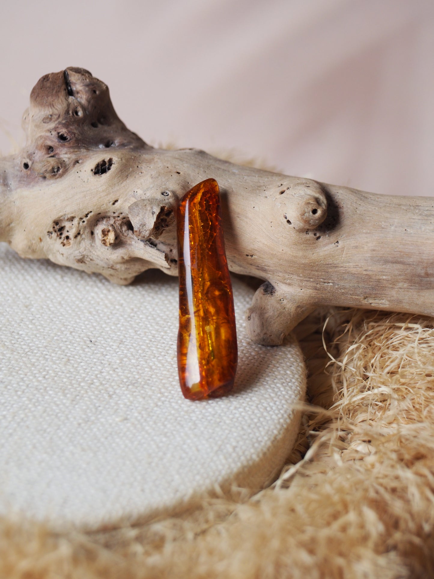 Unique and Rare Amber Piece with Multiple Insects (Ants, Flies, Bristletail) Inclusions with Certificate