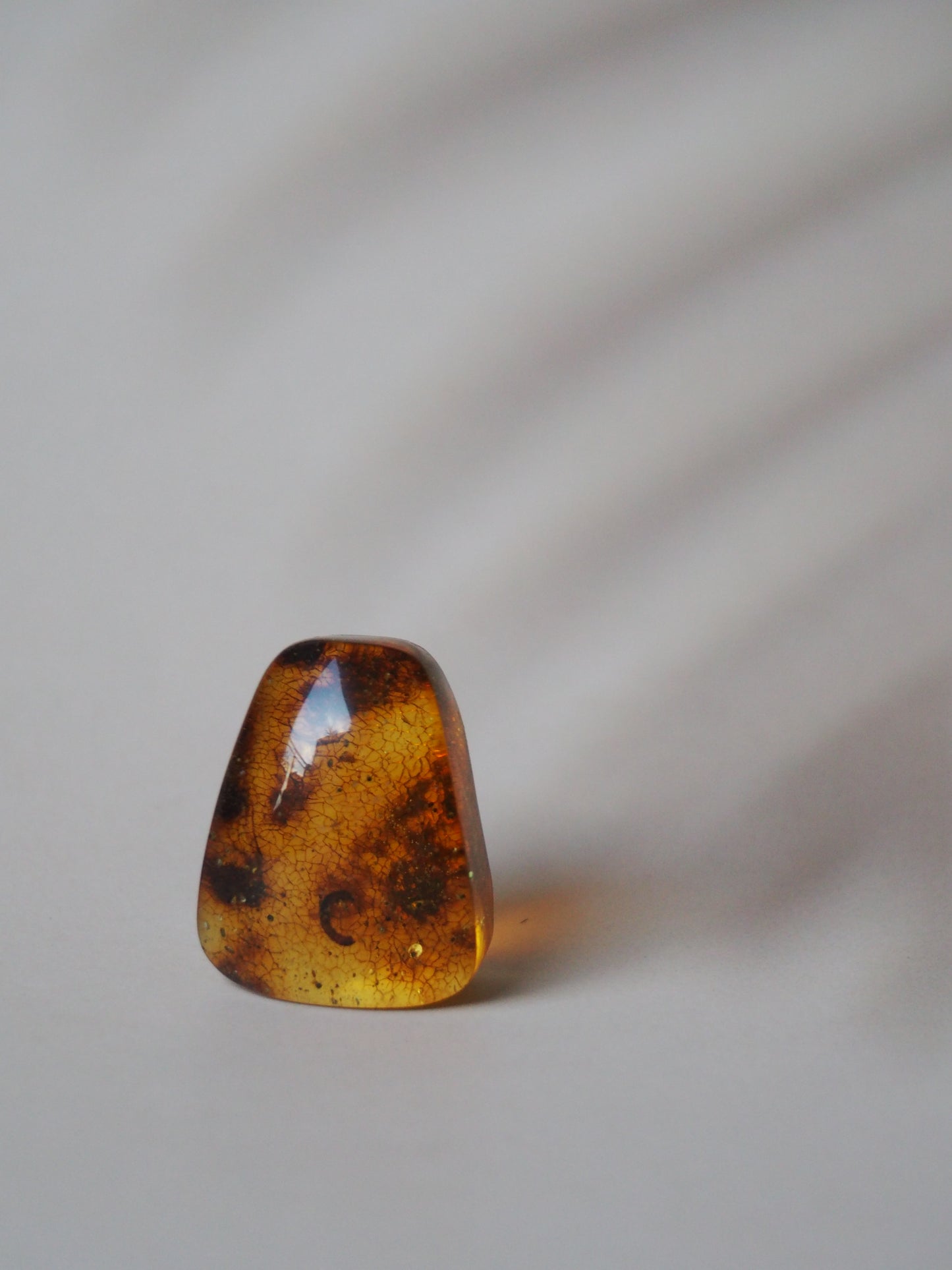 Amber Piece with Natural Insect Inclusion -Worm