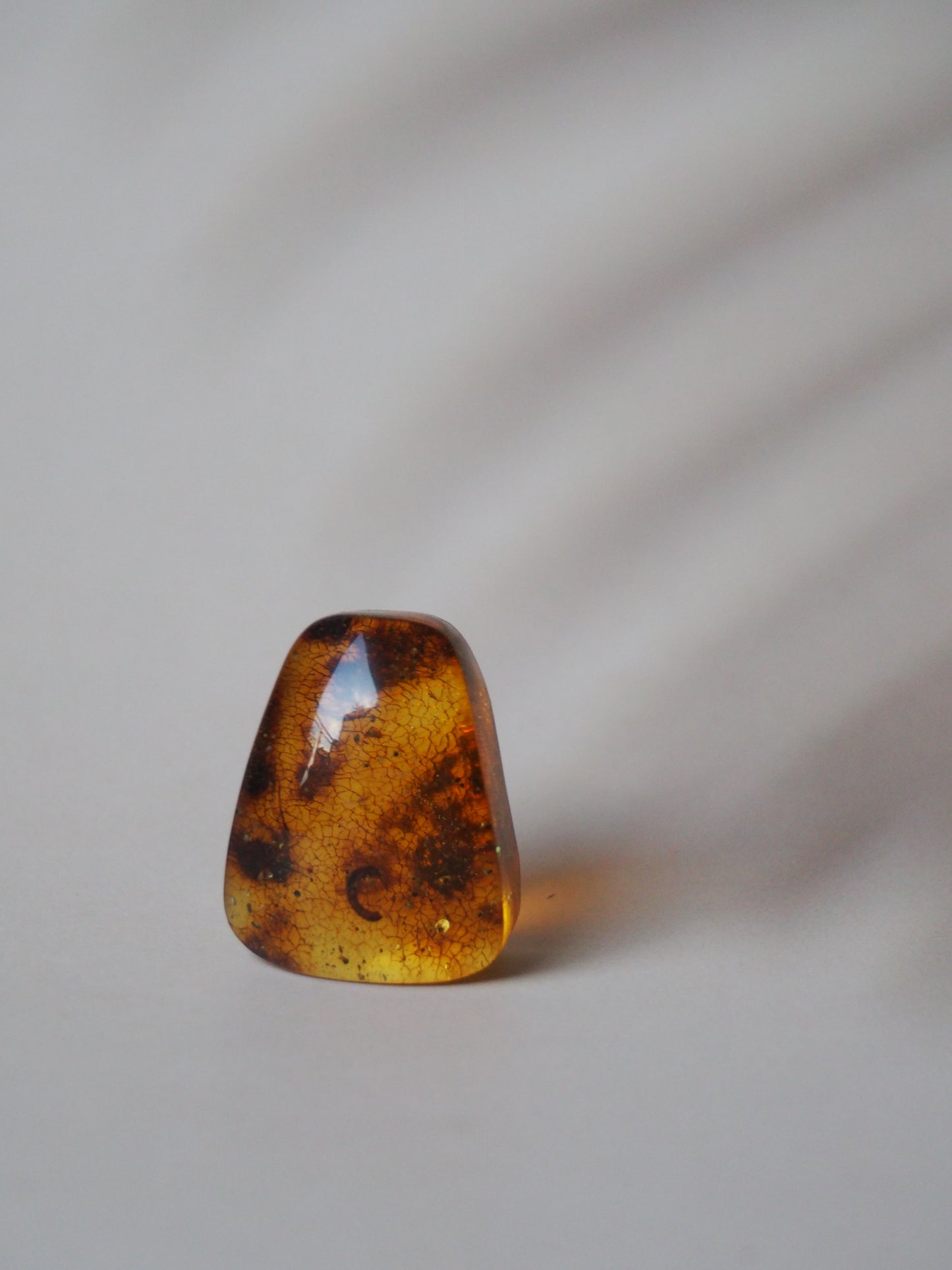 Amber Piece with Natural Insect Inclusion -Worm