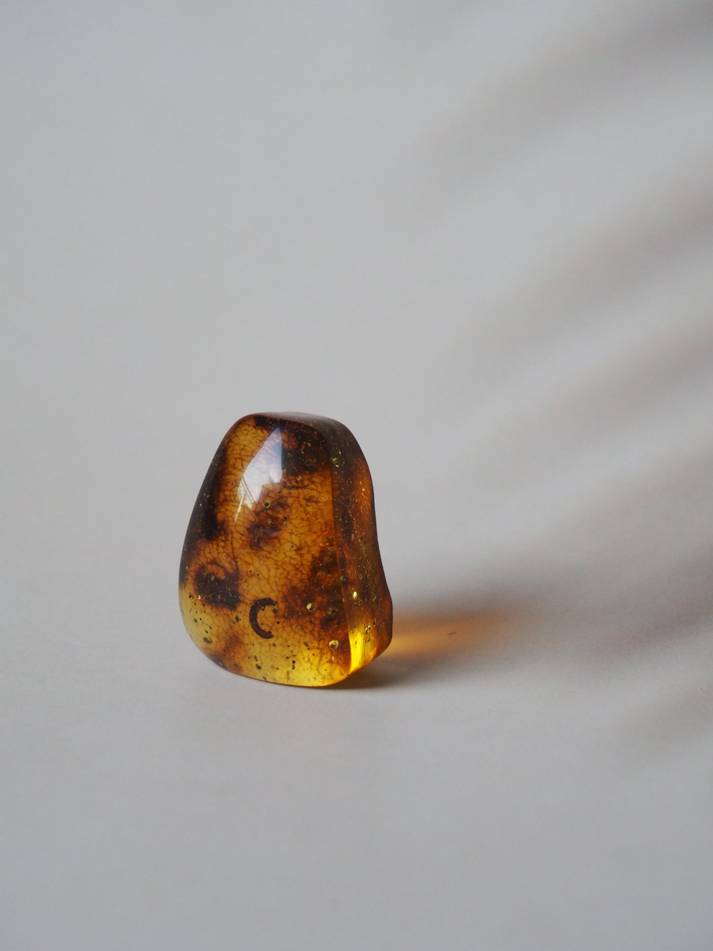 Amber Piece with Natural Insect Inclusion -Worm