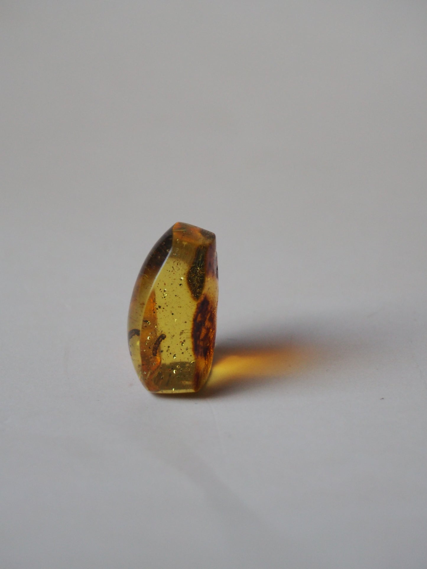 Amber Piece with Natural Insect Inclusion -Worm