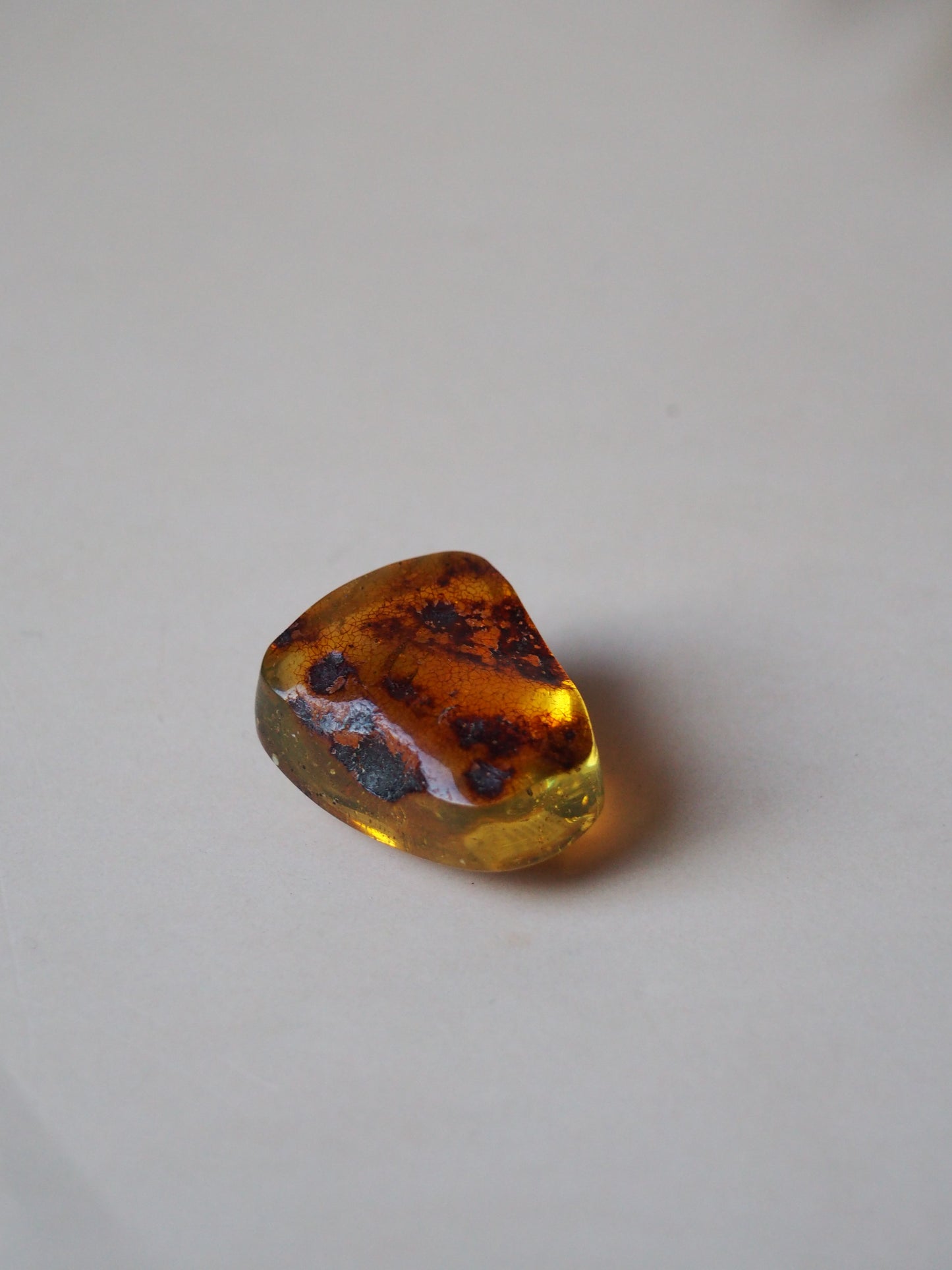 Amber Piece with Natural Insect Inclusion -Worm