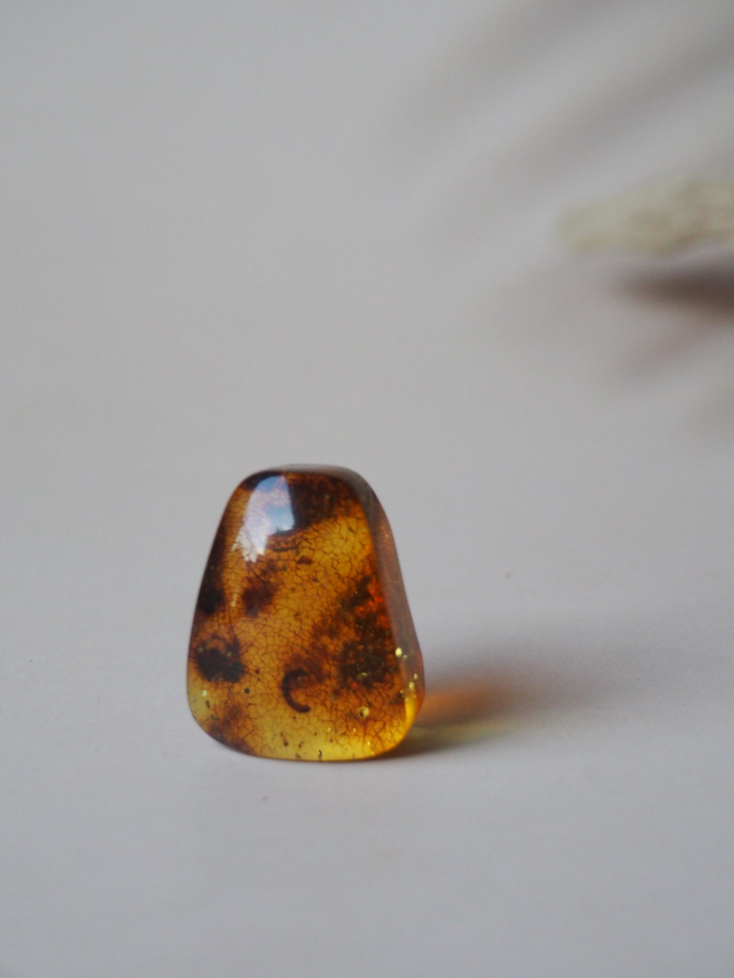Amber Piece with Natural Insect Inclusion -Worm