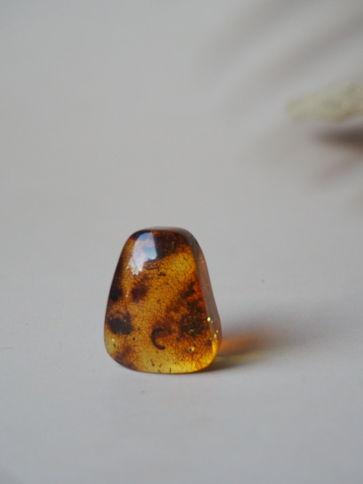 Amber Piece with Natural Insect Inclusion -Worm