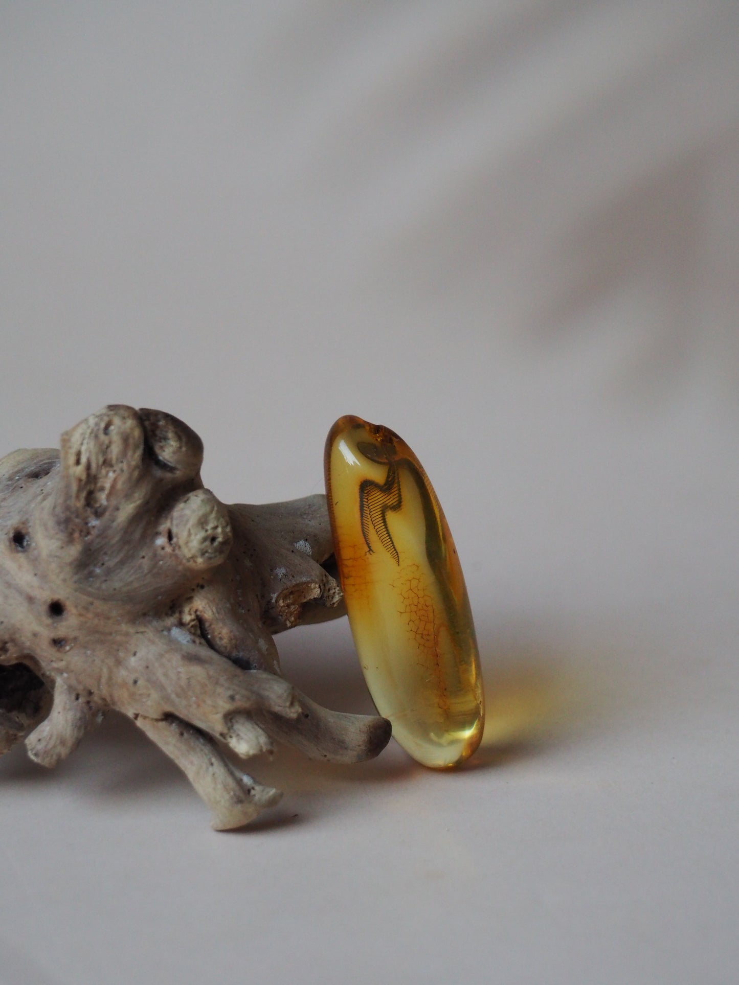 Amber Piece with Natural Insect Inclusion - Well Visible Insect's Wing