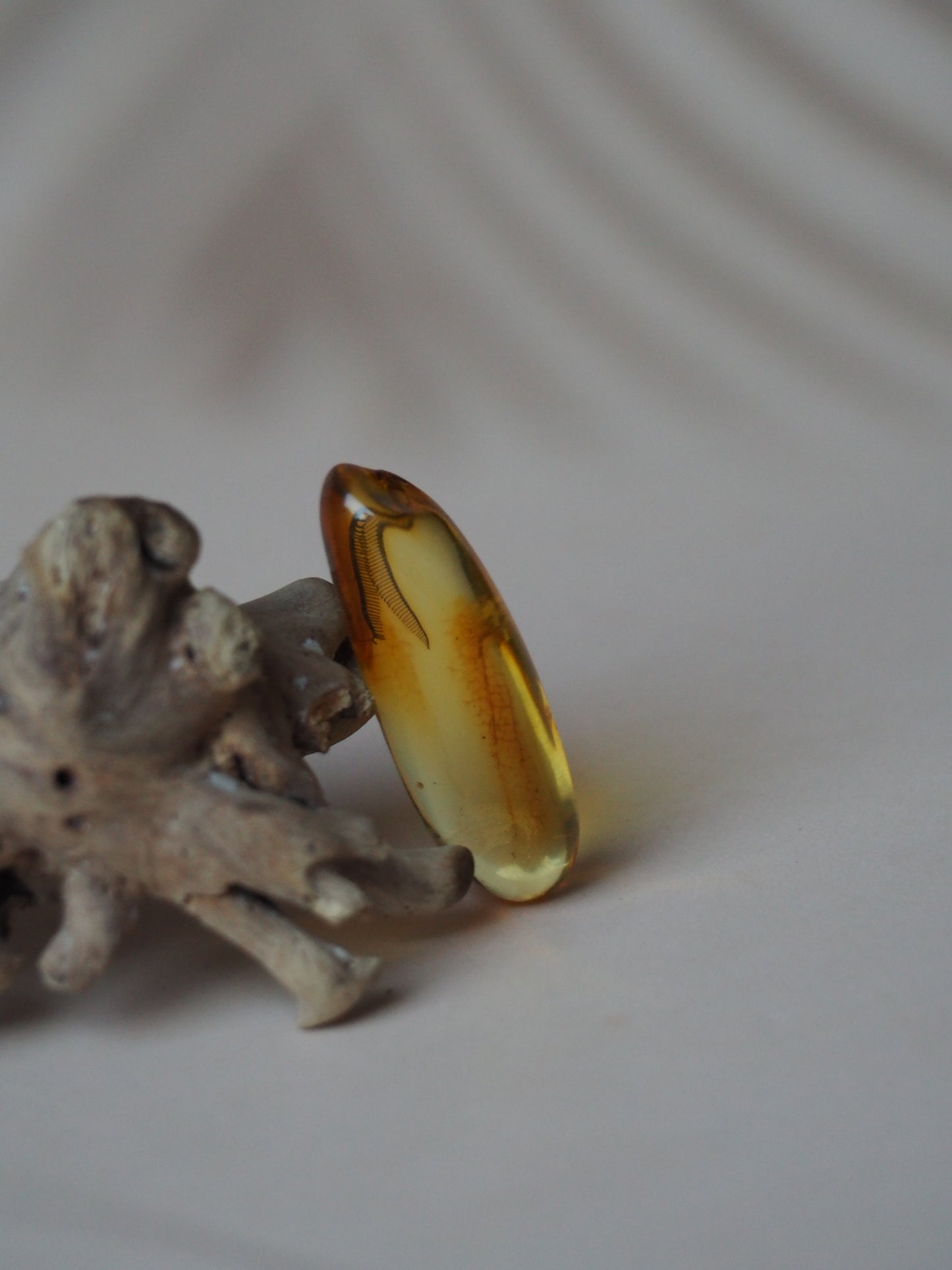 Amber Piece with Natural Insect Inclusion - Well Visible Insect's Wing