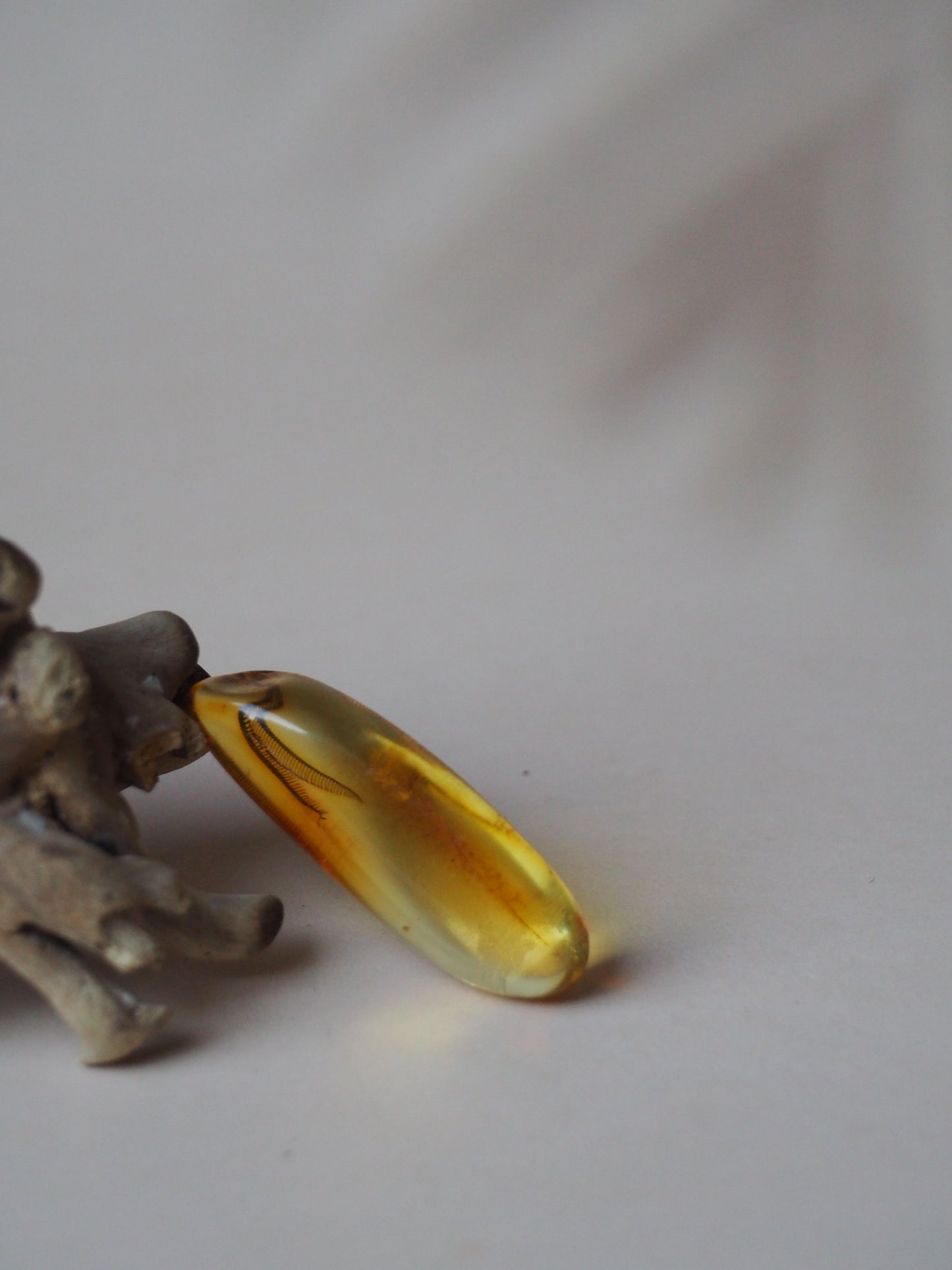 Amber Piece with Natural Insect Inclusion - Well Visible Insect's Wing