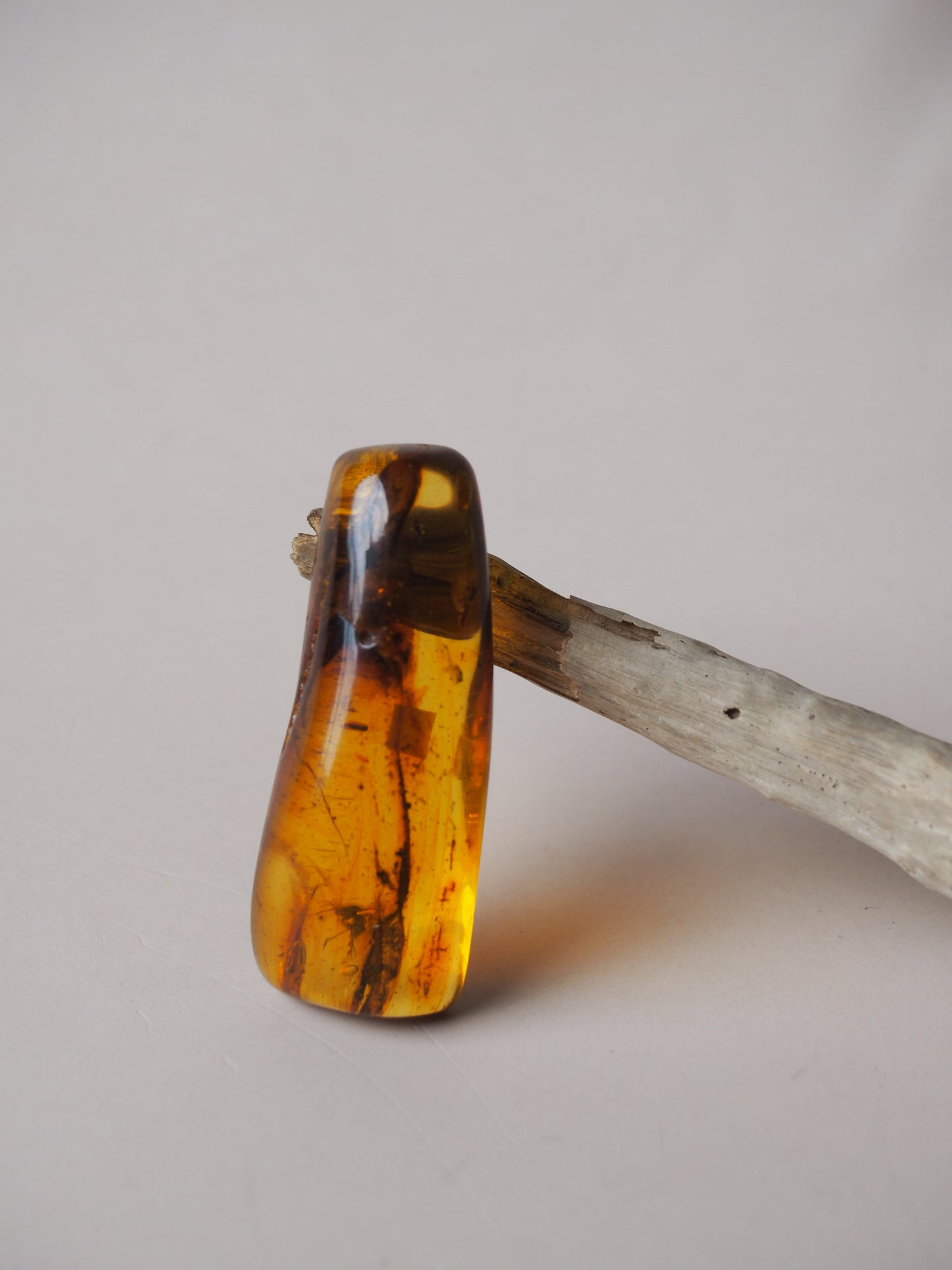 Unique Big Amber Piece with Insects ( Multiple Insects ) Inclusions