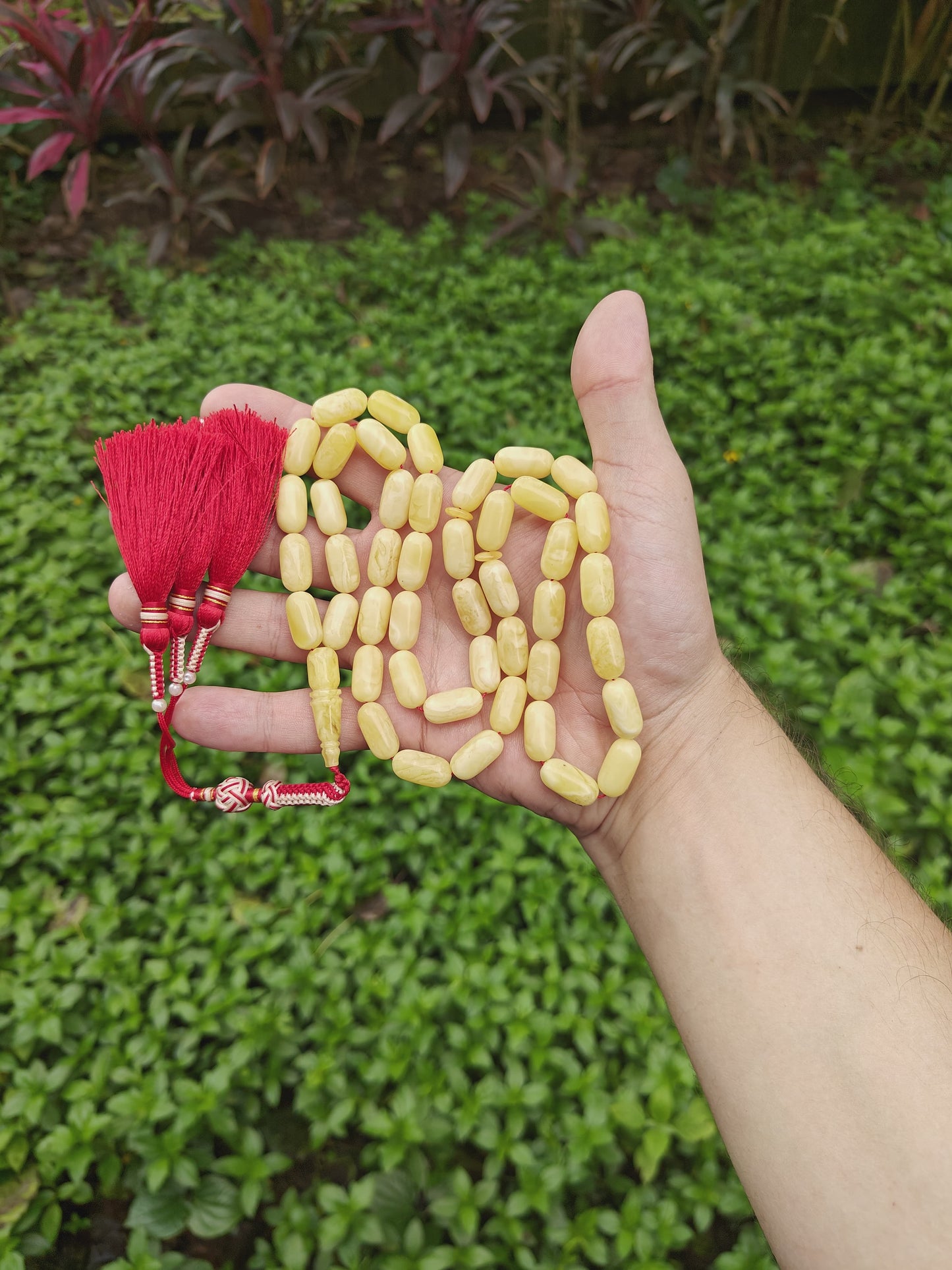 Natural Milk Barrel Shape Amber Rosary with Certificate 45 Beads