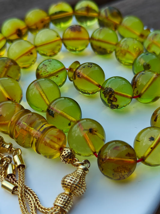 Green Caribbean Amber Misbah 33 Beads