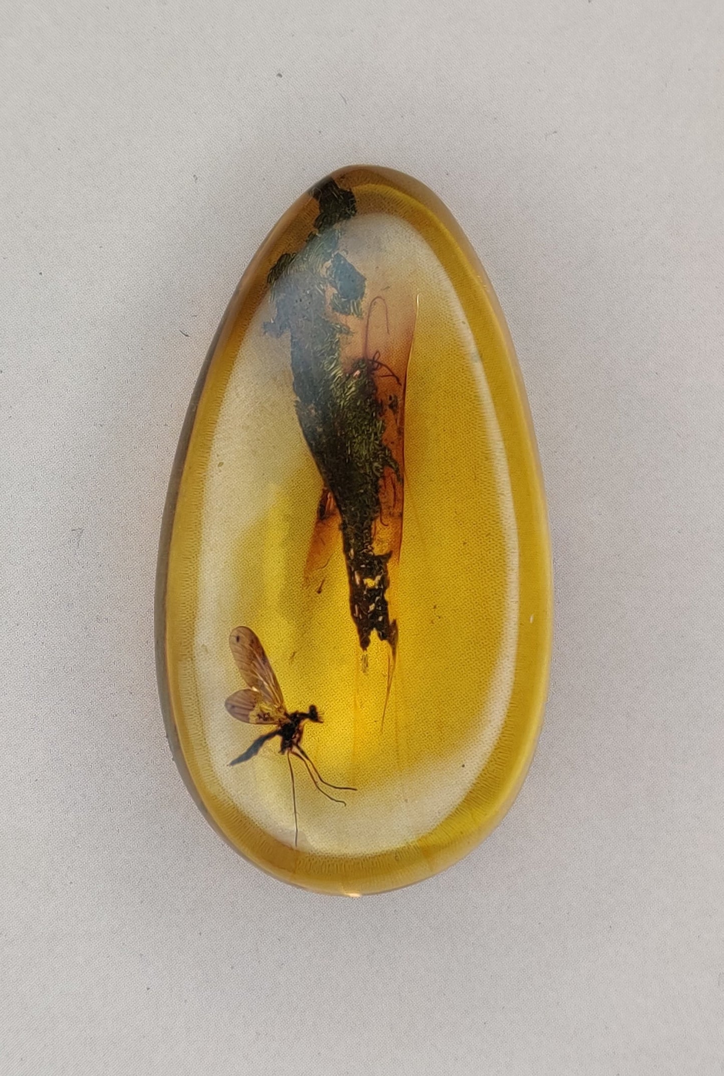Rare and Unique Amber Raw Piece with Mosquito and Cocroach Type Insect Inclusion