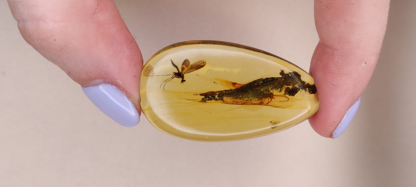 Rare and Unique Amber Raw Piece with Mosquito and Cocroach Type Insect Inclusion