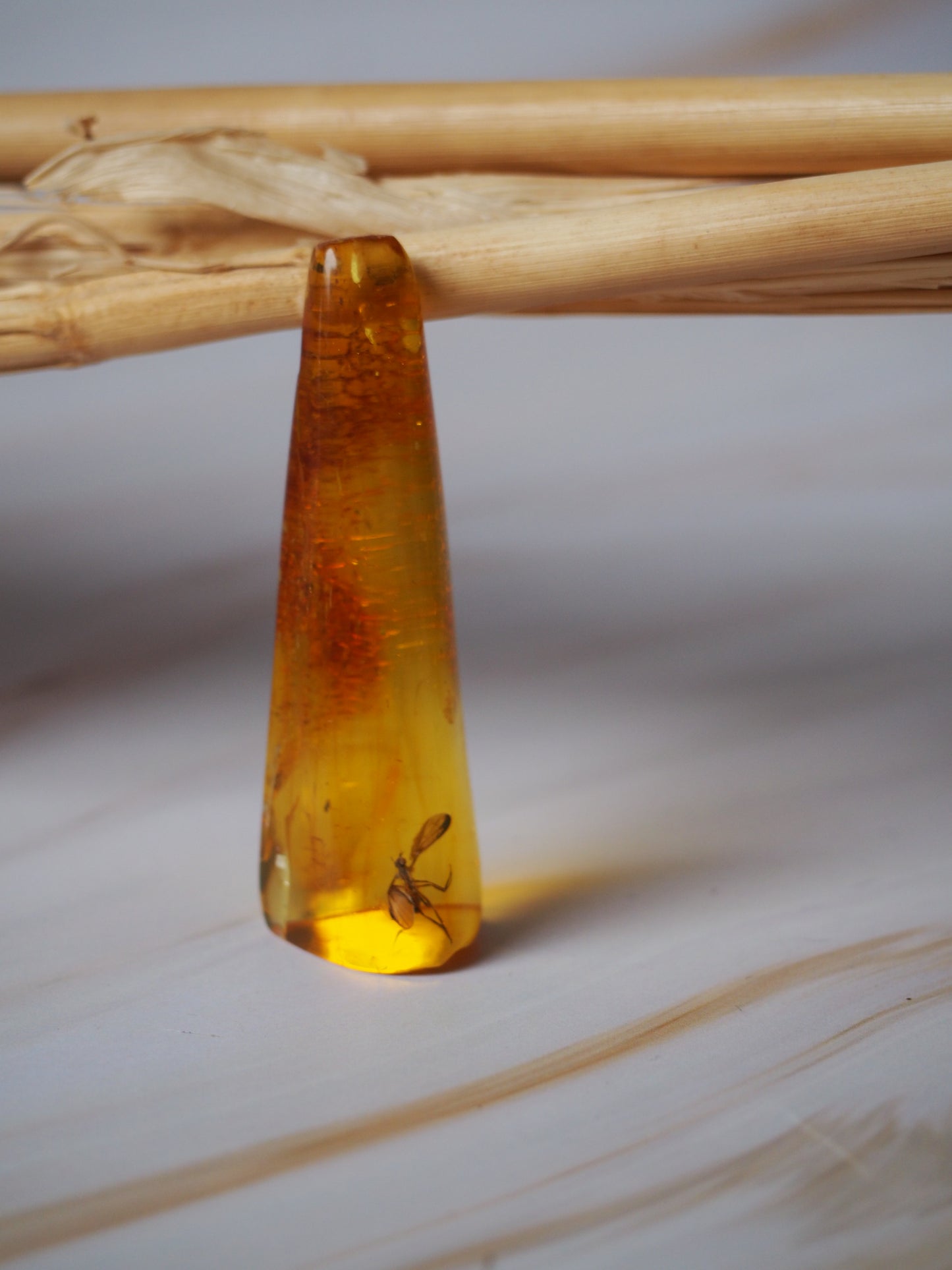 Rare Amber Piece with Insect Inclusion - Mosquito