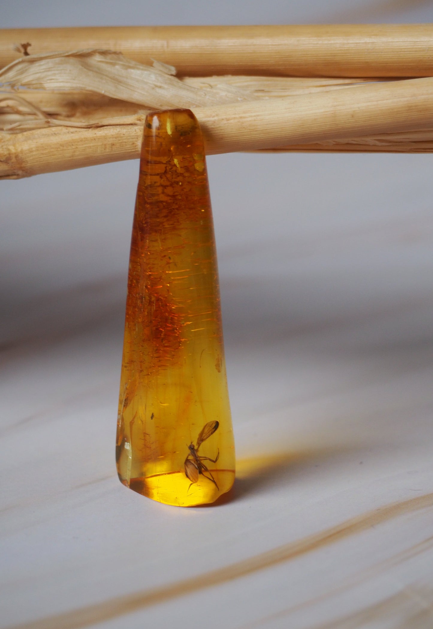 Rare Amber Piece with Insect Inclusion - Mosquito
