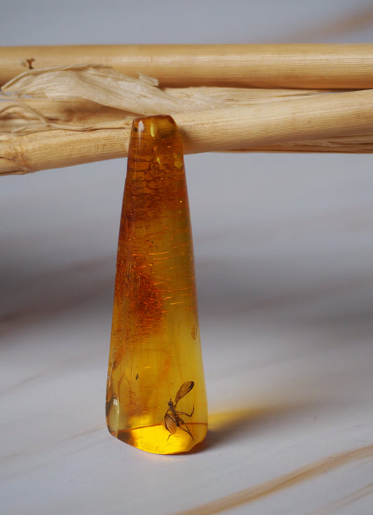 Rare Amber Piece with Insect Inclusion - Mosquito